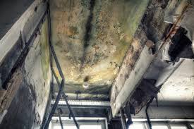 Best Industrial Mold Remediation  in Laurel Bay, SC